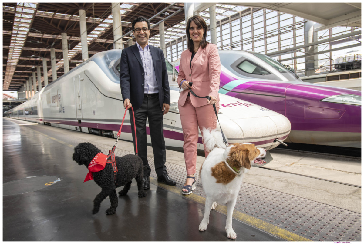 can dogs travel on trains uk